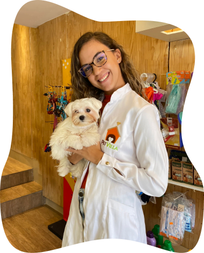 foto-veterinaria