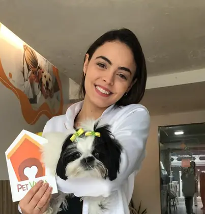 petvilla-vet-6